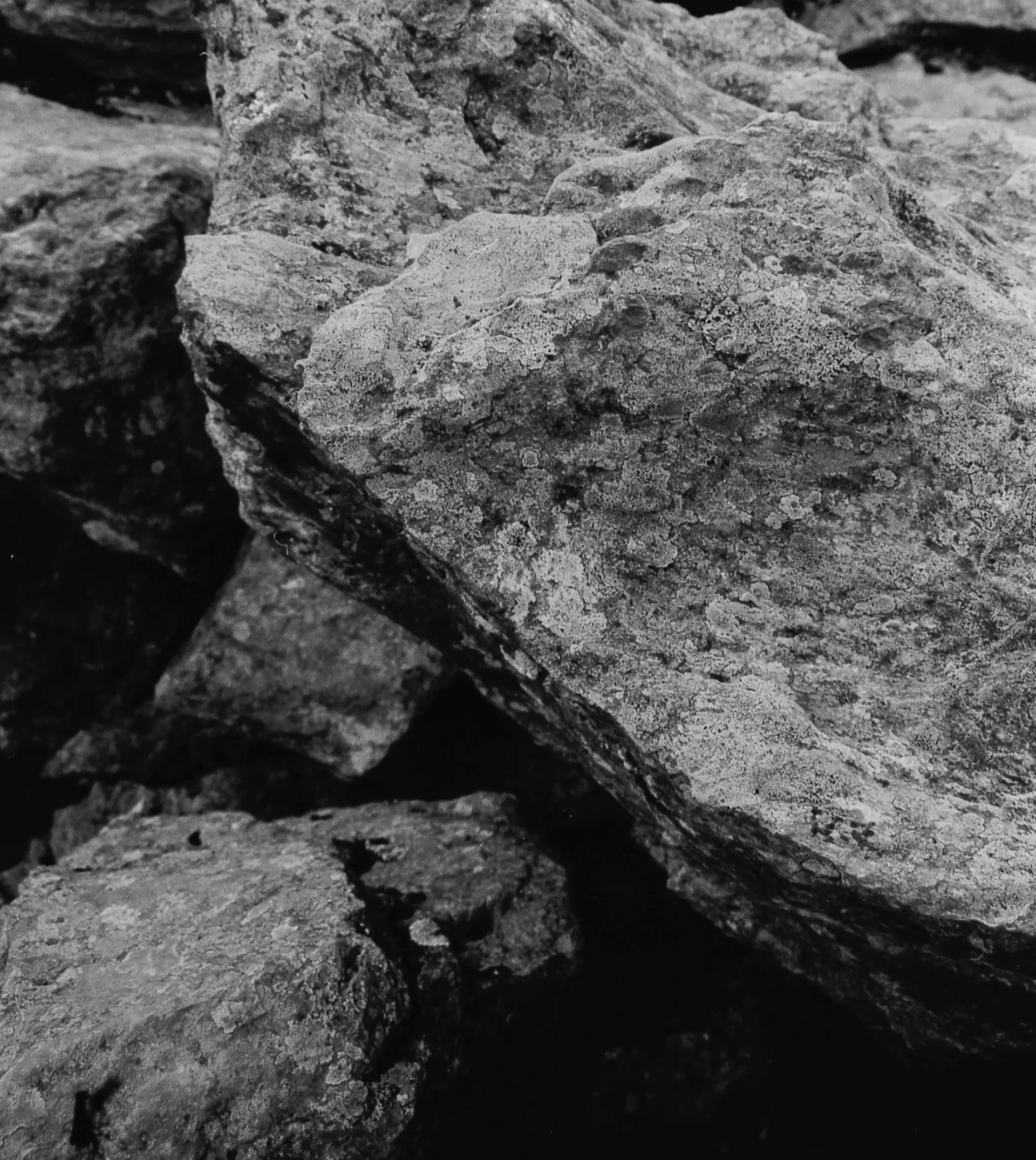 Portfolio header