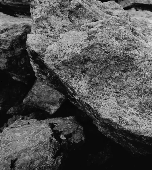 Portfolio header